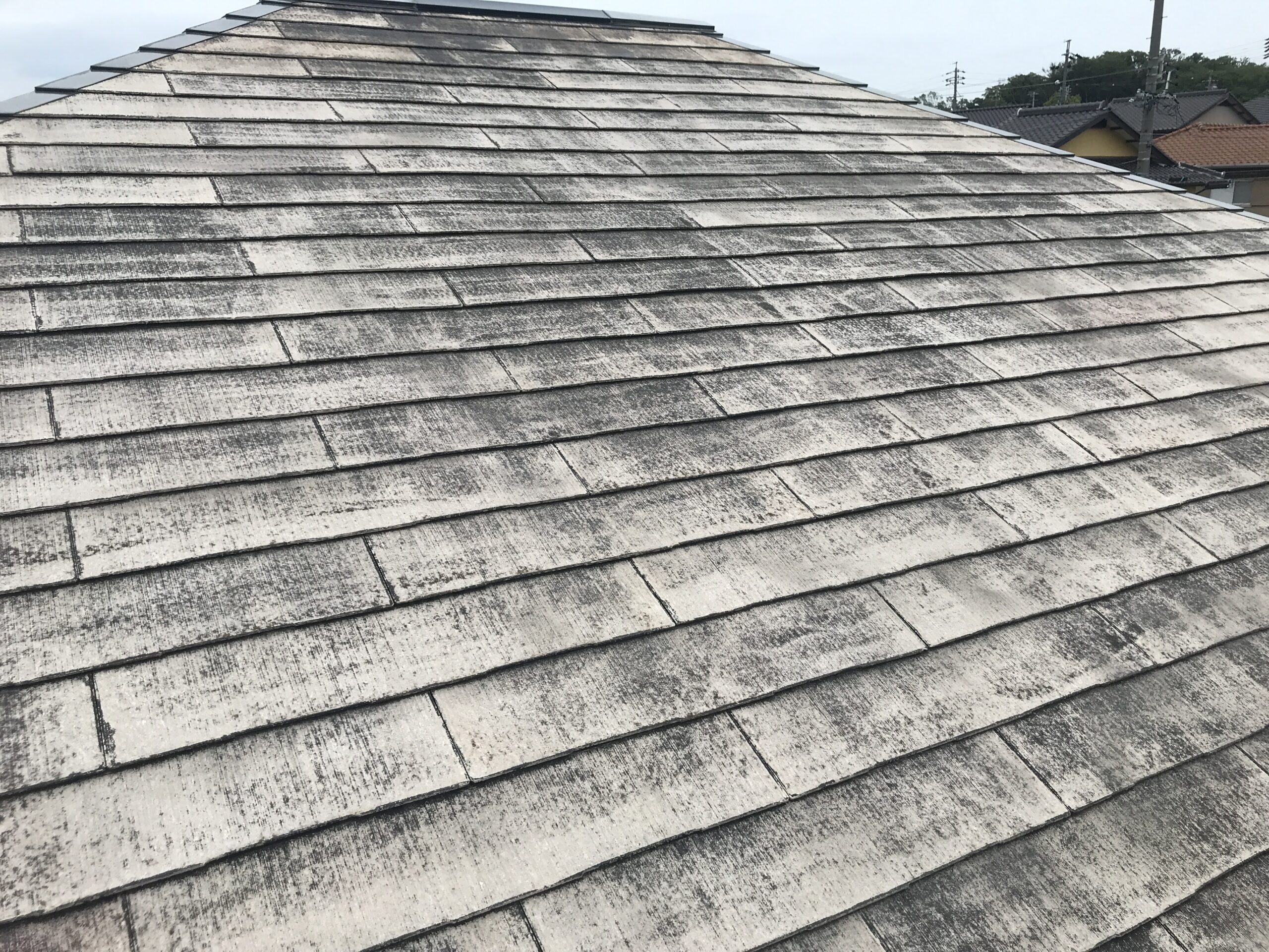 常滑市　外壁塗装