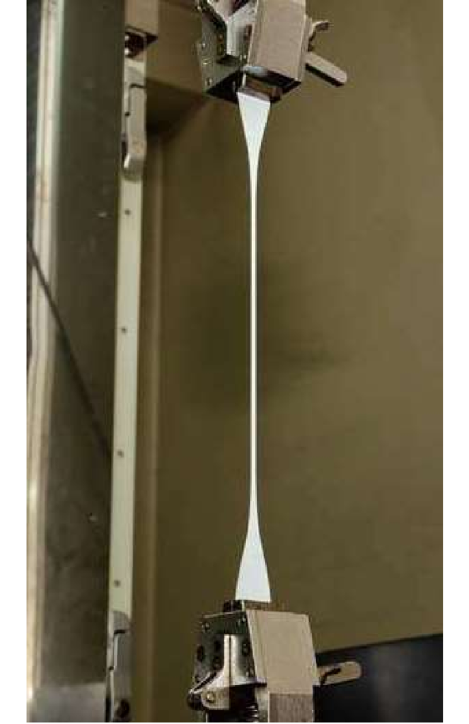 知多市　屋根塗装