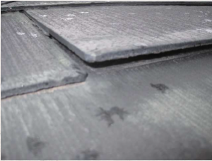 東海市　外壁塗装