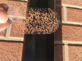 大府市 外壁塗装 クリヤー塗装