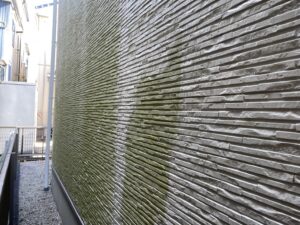 外壁塗装工事 コケ