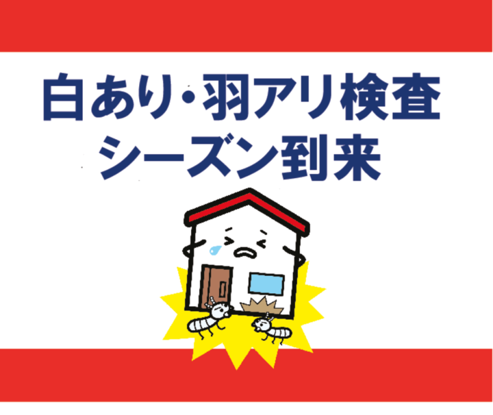 【白あり・羽アリ検査シーズン到来】｜大府市・東海市・知多半島の外壁塗装・屋根塗装は塗装屋ひらまつ