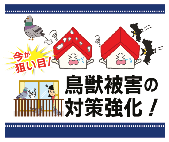 【住宅のコウモリ対策と鳩対策 完全ガイド】｜大府市・東海市・知多半島の外壁塗装・屋根塗装は塗装屋ひらまつ